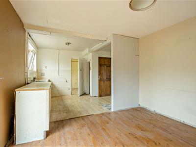 Picture 7